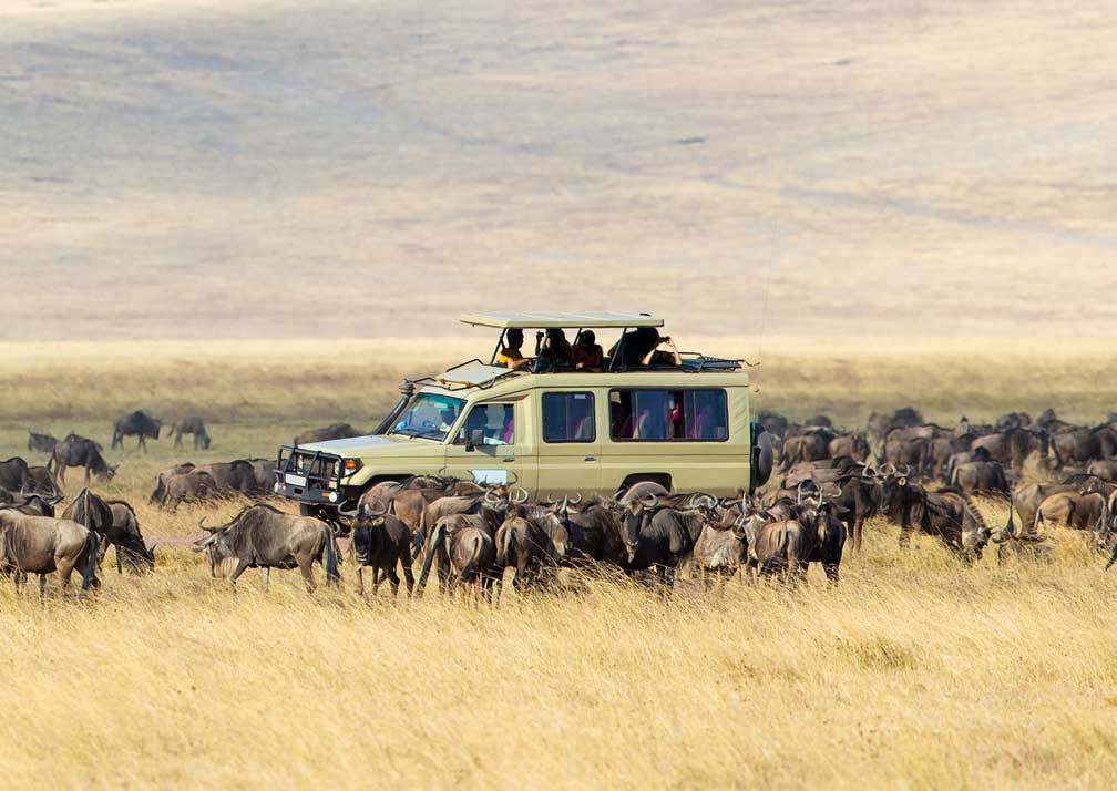 Serengeti-National-Park-Nomad-Nation-Safaris