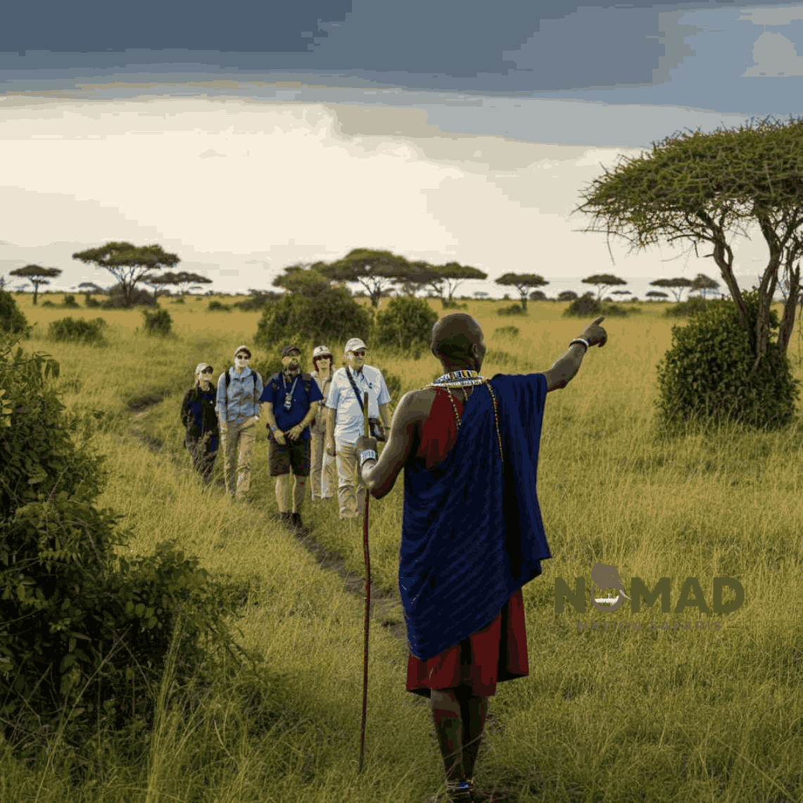 walking-safaris-with-nomad-nation-safaris